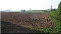 Newly cultivated ground, Luston in HR6 0AP