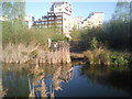 View across Greenwich Ecology Park in SE7 7SS