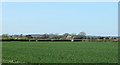 2011 : Fields north east of East Tytherton in SN15 4LT