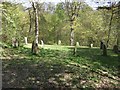 Stone circle in Goat Field Arboretum in SY21 0QX