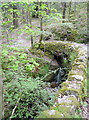 Bridge in Skelghyll Wood in LA22 0AJ