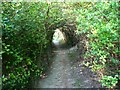 The footpath into Bishopstone, Swindon in SN6 8PN