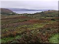 Marshland near Camastianavaig in IV51 9LQ