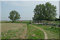Bridge over Pagham Rife in PO21 4FD