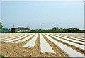 Sewage Works & Crop Rotation in PO21 4FD