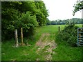 Field and gateway near Plaistow in RH14 0PZ