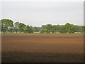 Farmland, Kexby Common in YO41 4AX