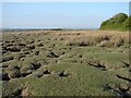 Saltmarsh at Salthouse Point in SA4 3RY
