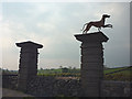 Greyhound gateposts, old schoolhouse, New Hutton in New Hutton