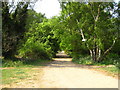 Track on Foxhall Heath in IP5 2DW