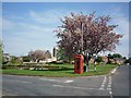 Cherry blossom in Tholthorpe in YO61 1SX