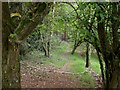 Dunyeats, woodland path in BH17 9BQ