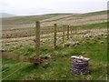 New fence on the flanks of South Pike in Alnham