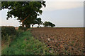 Farmland near Thrussington in LE14 3EB