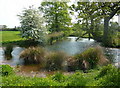 Pond by countryside footpath in B46 2RL