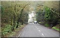 A straight section of the A267 in TN21 0BY