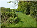 Footpath by Shawbury Wood in B46 2SA
