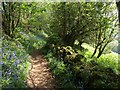 Bridleway above the Avon valley in TQ10 9EQ