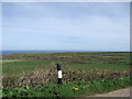 Moorland near Zennor in TR26 3AY