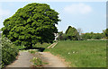 2011 : Farm track north of Bolter's Lane in BA4 4JN