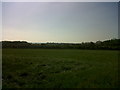 View over Park Copse to Marlborough Downs in SN5 3LU