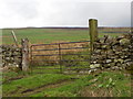 Gate to the moors, Skelton in DL11 7LG
