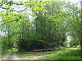 Track junction in Jews Wood in TN3 8BD