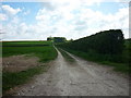 A footpath heading towards Mount Pleasant Farm in YO25 9TR