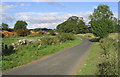 Looking East down the unclassified road that joins the A68 near Ancrum Park in TD8 6UJ
