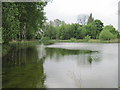 Pond in Cusworth Country Park in DN5 8BH