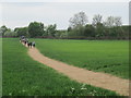 Footpath over field to A1(M) in DN5 7TT