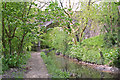Tavistock Canal below Shillamill Viaduct in PL19 8HS