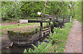 Lock and lift bridge, Tavistock Canal near Buctor in PL19 8HS