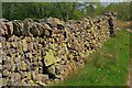 Drystone Wall Near Guardhouse in CA12 4SZ