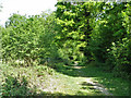 Path in Corner Copse in RH14 0TS