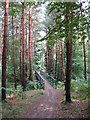 Footbridge in Broxbourne Woods in SG13 8NZ