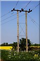 Electrical poles by the path in OX10 7AS