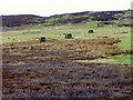 Grouse butts on Marrick Moor in DL11 7NJ