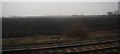 Ploughed land by the ECML near Langford in SG18 9FP