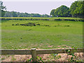 Field opposite Setley Farm House in SO42 7UH