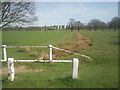 The Polo Field, Richmond Park in TW10 5HR