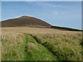 Path up the Tap O'Noth in AB54 4HG