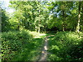 Subsidiary path within Havant Thicket in PO9 6BA
