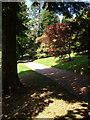 Path through the gardens at Killerton in EX5 3LN