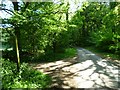 Footpath junction on Wakestone Lane in RH20 1JR