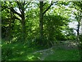 Footpath arrives at gate on Wakestone Lane in RH20 1JR