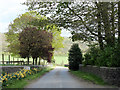 2011 : Road to Wellington Farm, East Cranmore in BA4 4SG