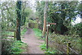 Bridleway crosses the Wey South Path in RH14 0UH