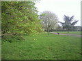 Forster Memorial Park in SE6 1RY