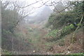 Old railway cutting at Nancegollan in TR13 0AH